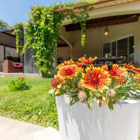 Villa Nimes Bed & Breakfast 4*